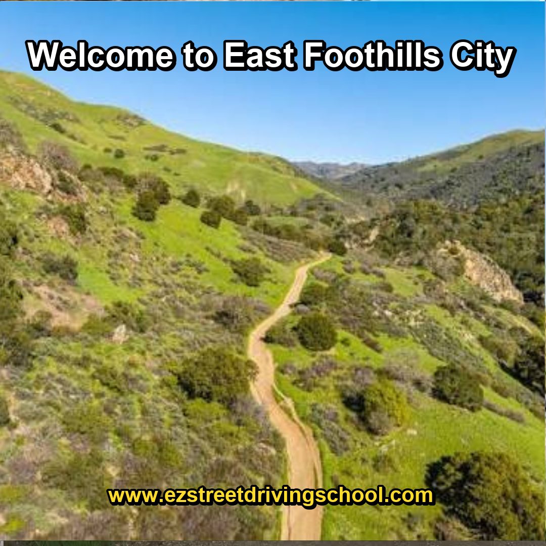 Driving Lessons in East Foothills